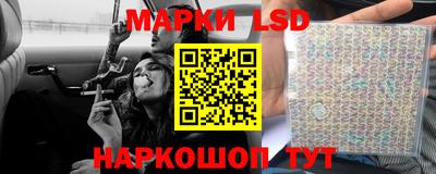 соль ск Новодвинск
