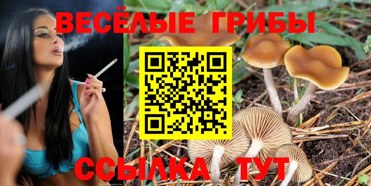 Галлюциногенные грибы Cubensis  где можно купить наркотик  Сибай  Вход с VPN 