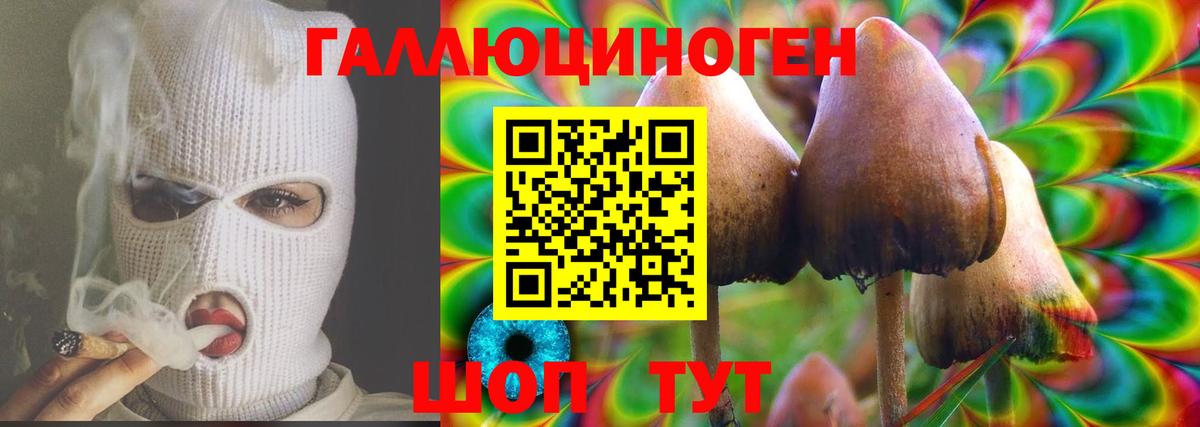 Псилоцибиновые грибы Cubensis Сибай